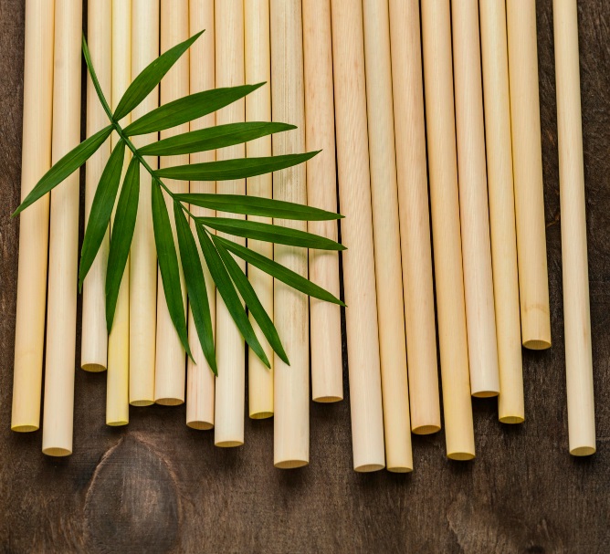 bamboo cane