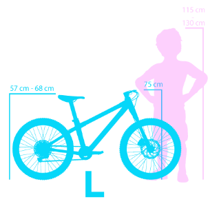 a graphic of a mountainbike displaying the size L